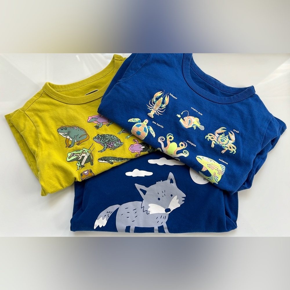 Toddler T-shirt bundle 4T | EUC